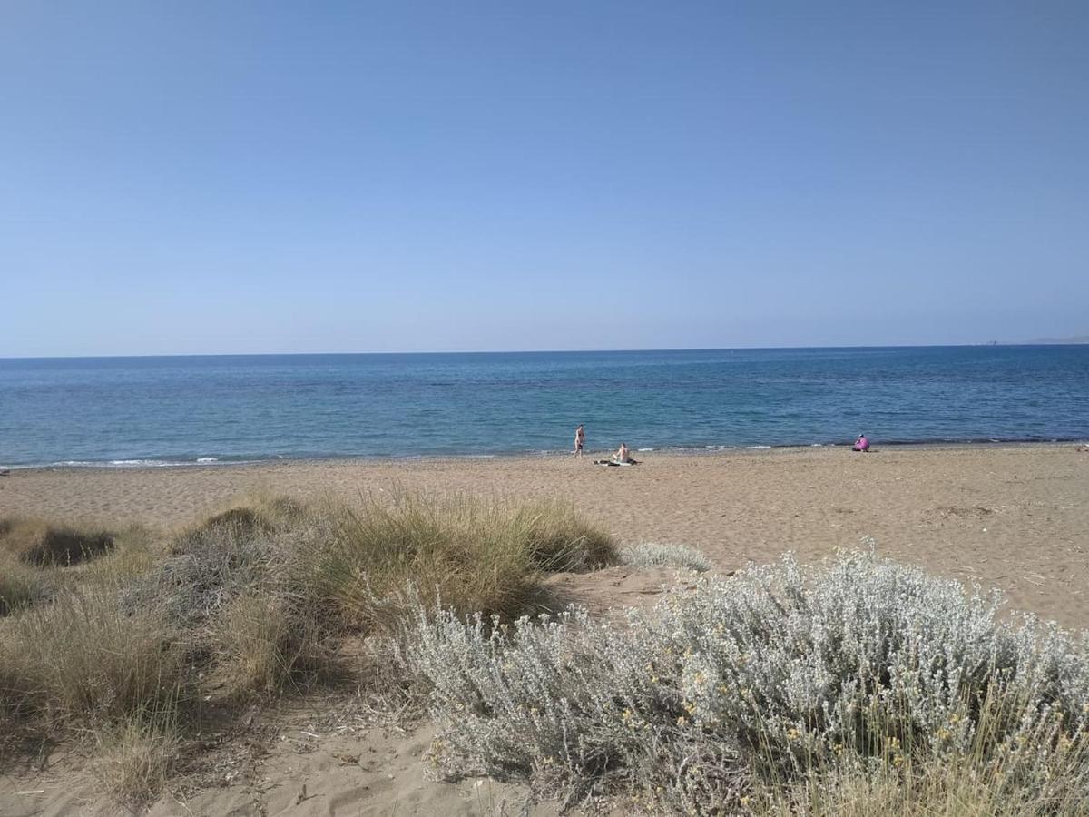 Studio On The Closest Beach To The City! Amoudara Lasithiou Exteriör bild